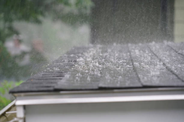Best Chimney Flashing Repair  in Squaw Valley, CA